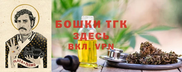 гашик Балахна