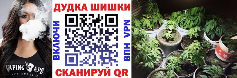 Бошки марихуана Ganja сколько стоит Туран